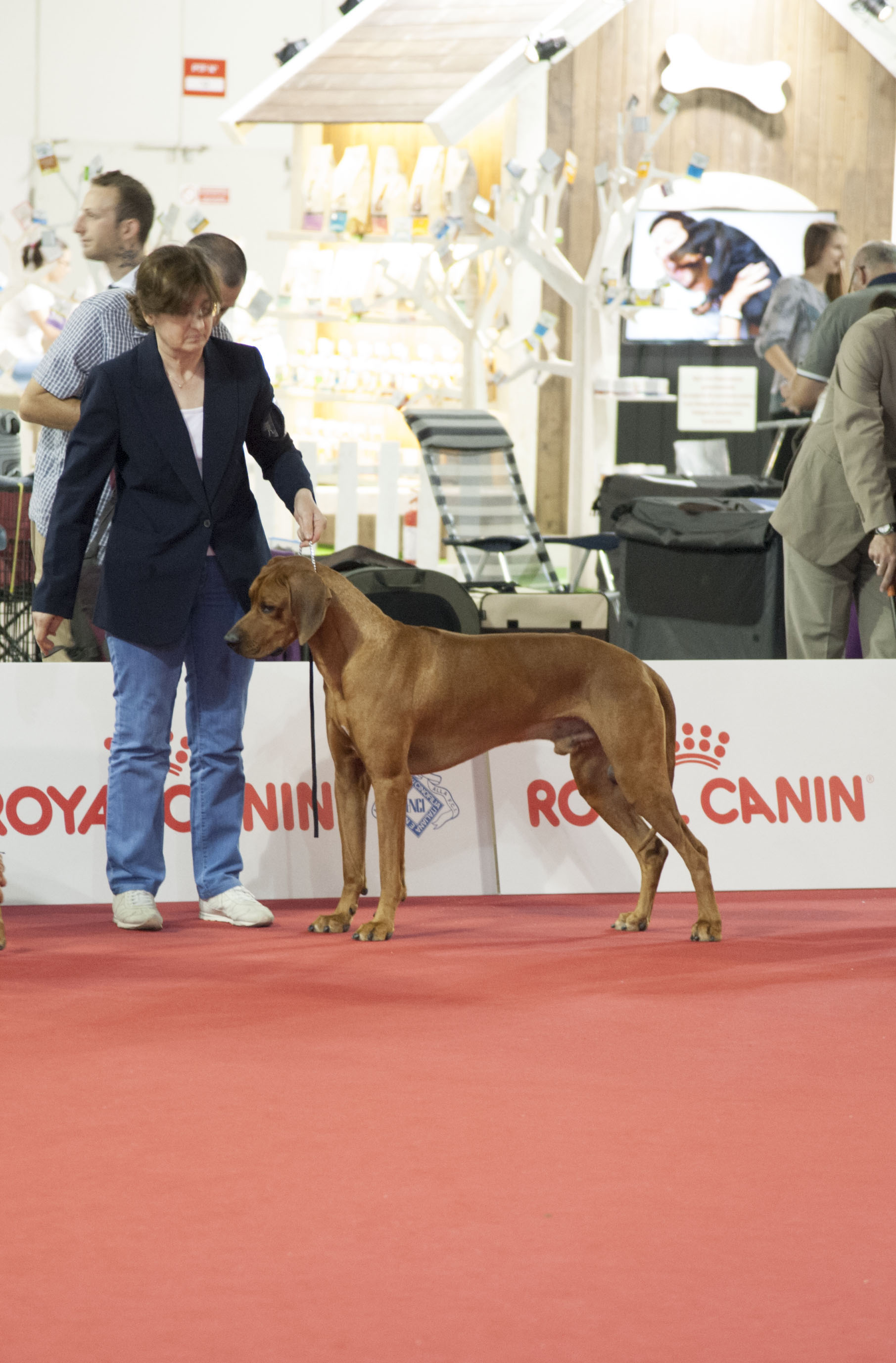 World Dog Show - Milano